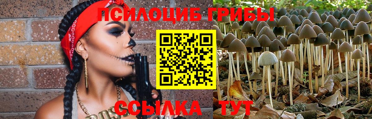 Псилоцибиновые грибы мицелий Барнаул