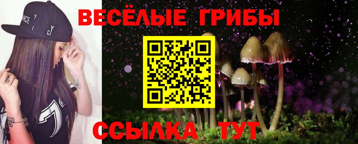 Галлюциногенные грибы Cubensis  Вход с VPN  как найти закладки  Псилоцибиновые грибы ЛСД  Барнаул 